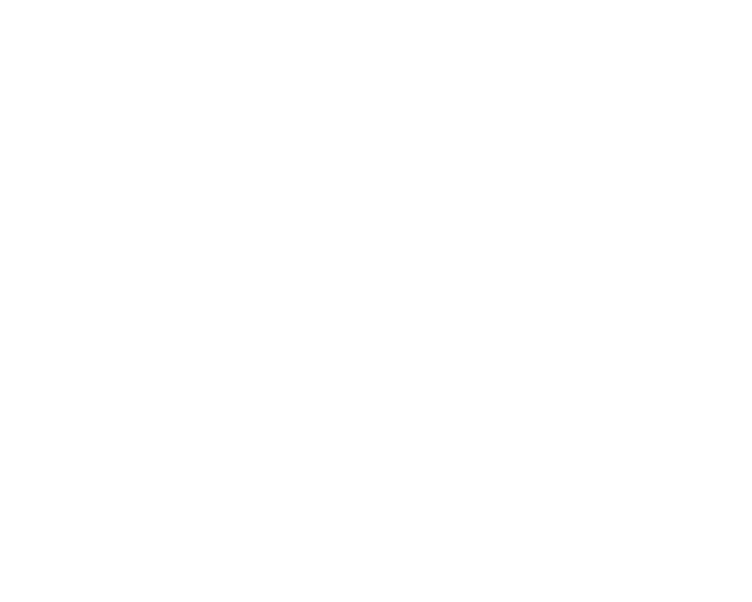 Ace Logo White.png